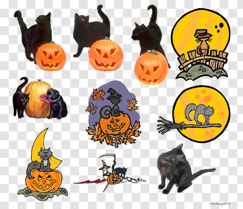 Cat Jack-o'-lantern Kitten Clip Art - Ifolder Transparent PNG