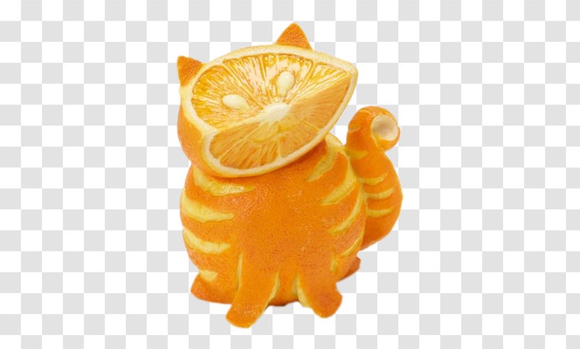 Cat Orange The Arts Humour - Citric Acid - Kitten Transparent PNG