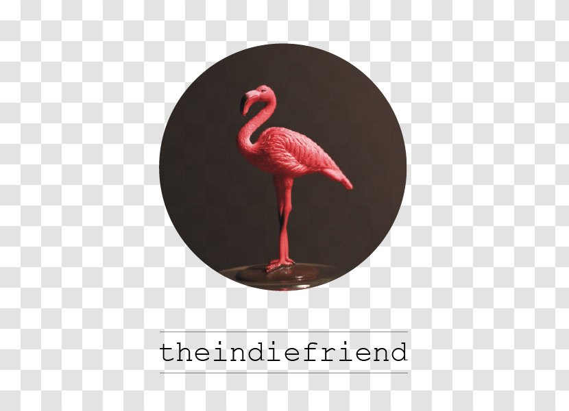 Furniture Beak Leitmotif - Flamingo - Design Transparent PNG