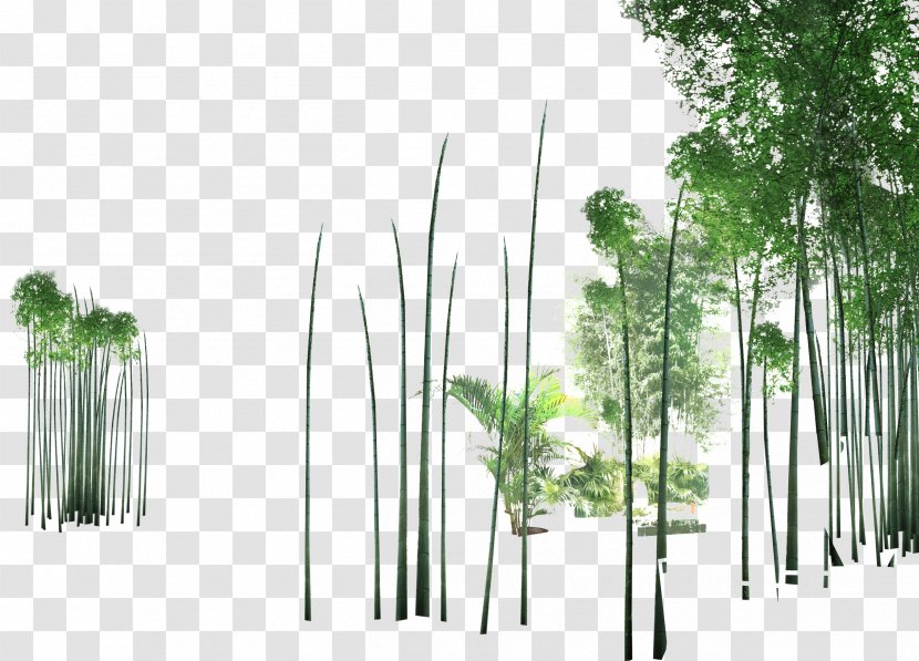 Shulin District Tree Bamboo Transparent PNG