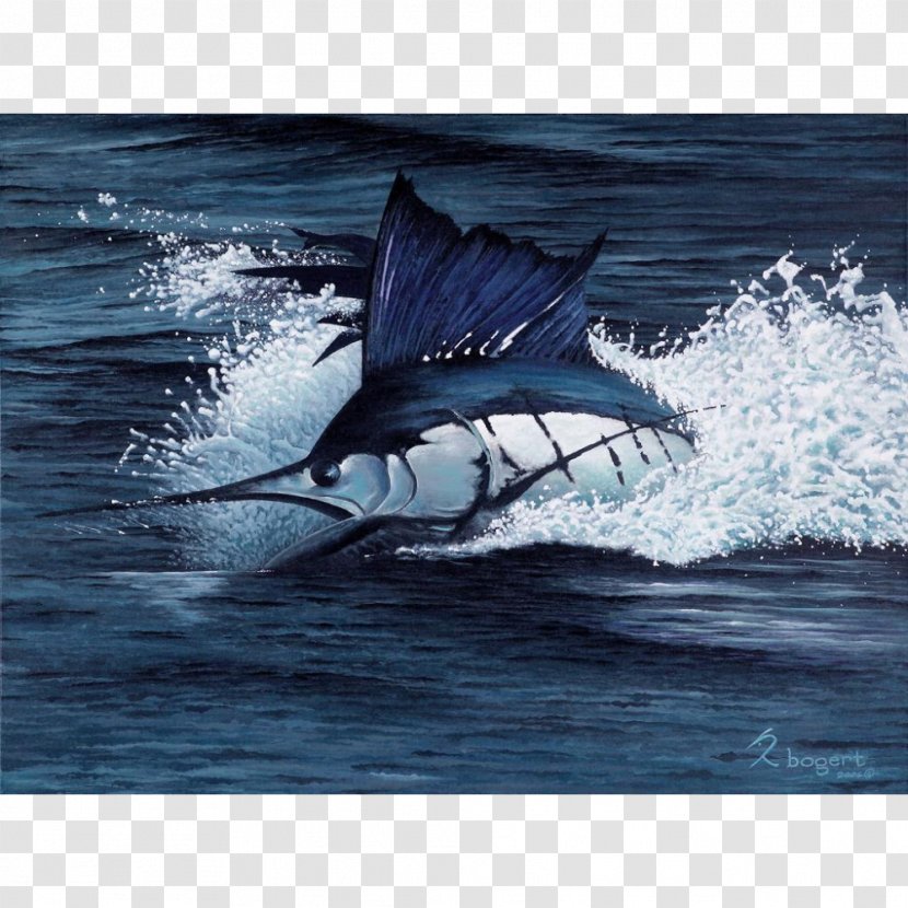 Swordfish Richard Bogert LLC Painting Sailfish White Marlin - Fin Transparent PNG