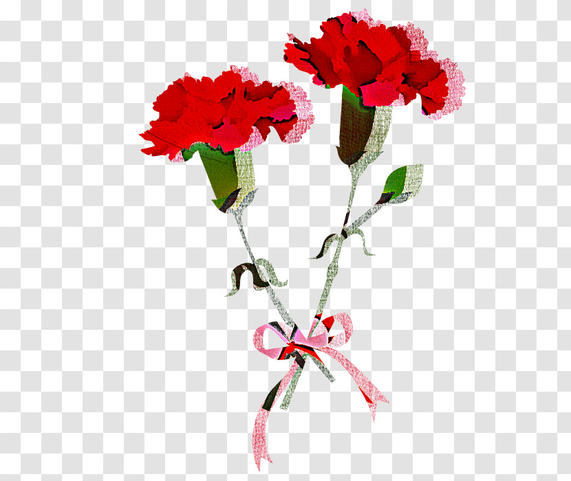 Flower Red Plant Cut Flowers Carnation Transparent PNG