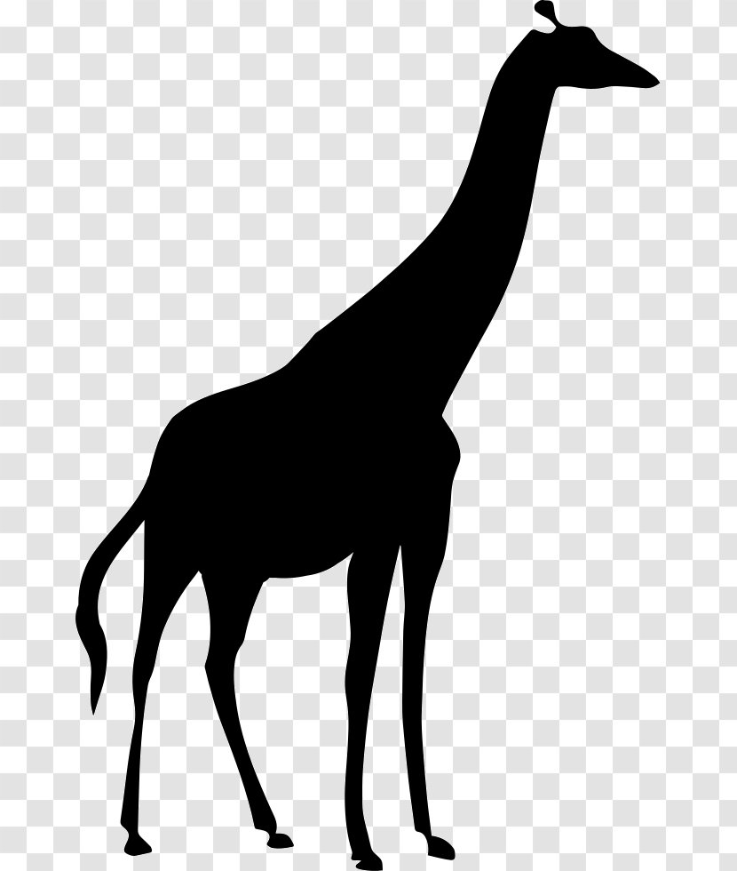 Northern Giraffe Image Silhouette Vector Graphics Transparent PNG