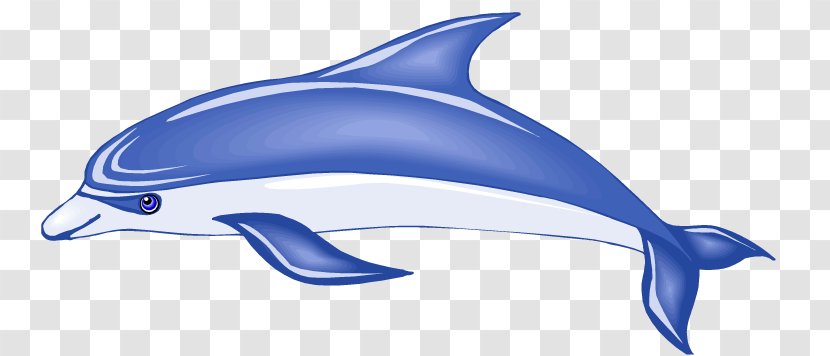 Dolphin Royalty-free Clip Art - Rough Toothed - Cliparts Transparent PNG
