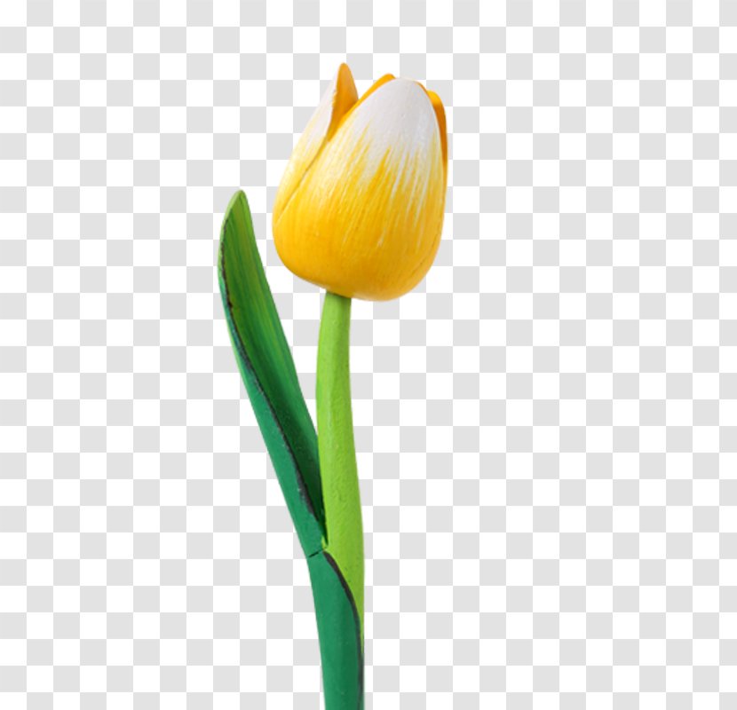 Tulip Cut Flowers Plant Stem Souvenir - Key Chains - White Transparent PNG