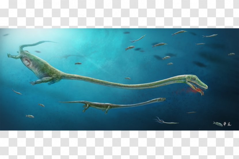 Sea Monster Reptile Dinocephalosaurus Paleontology Transparent PNG