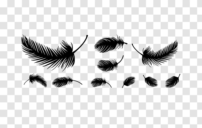 Bird Feather Insect Eyelash Membrane - Winged Transparent PNG