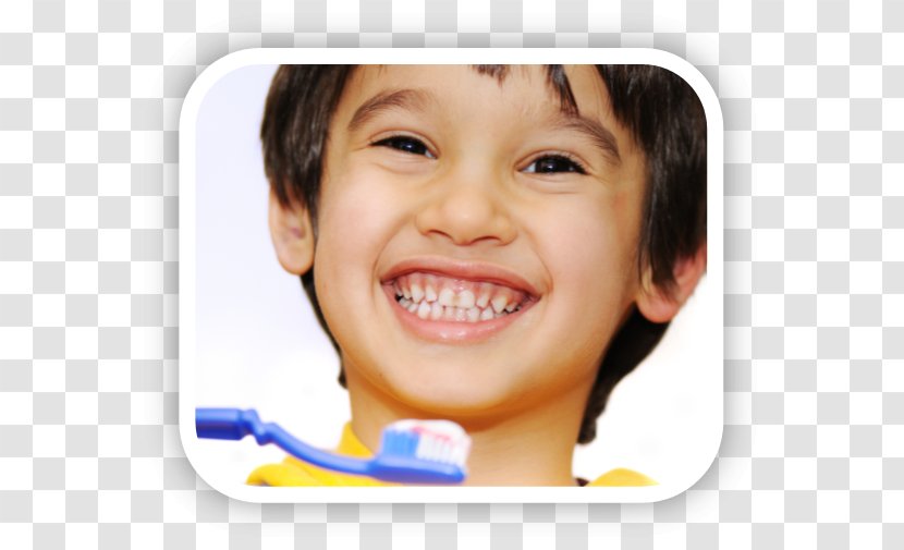 Tooth Brushing Pediatric Dentistry Child Human Transparent PNG