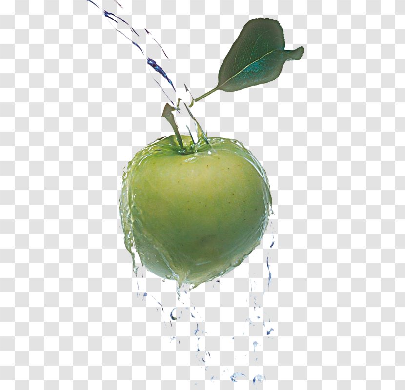 Granny Smith - Splash - Watering Green Apple Transparent PNG