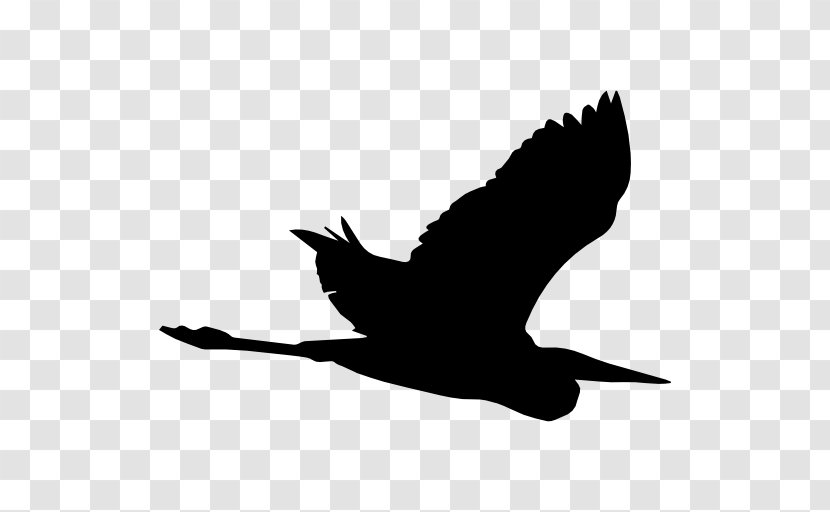 Heron Beak Bird Crane Silhouette - Wildlife Transparent PNG