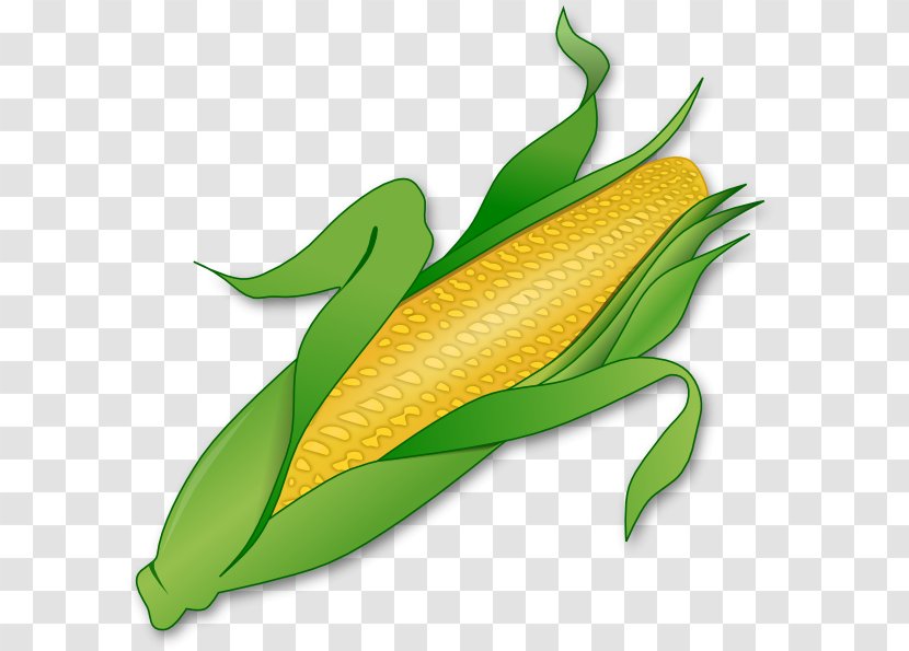 Corn On The Cob Maize Sweet Clip Art - Fruit - Cornstalk Clipart Transparent PNG