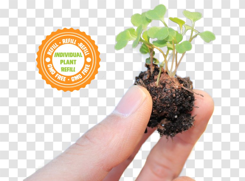 The Non-GMO Project Genetically Modified Organism Soil Germination Seed - Flower - NoN Gmo Transparent PNG