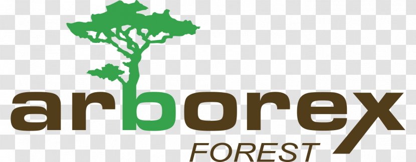 Tree Lumberjack Forestry ARBOREX Sprl Arborist - Forest Transparent PNG