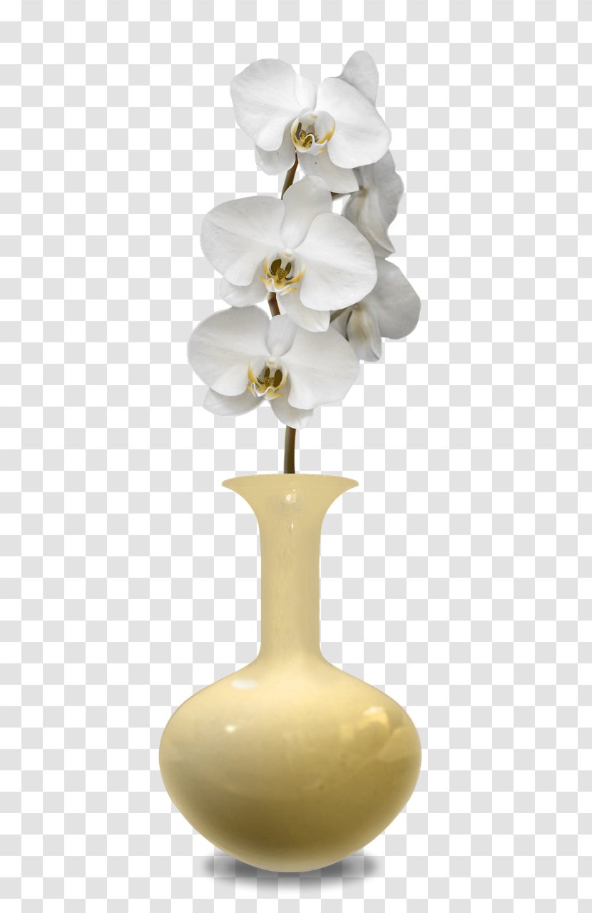 Vase Decorative Arts Flowerpot - Giara Transparent PNG