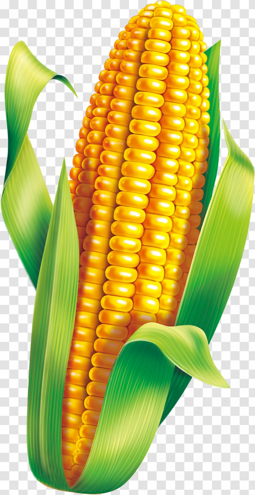 Corn On The Cob Maize Congee Breakfast - Material Transparent PNG