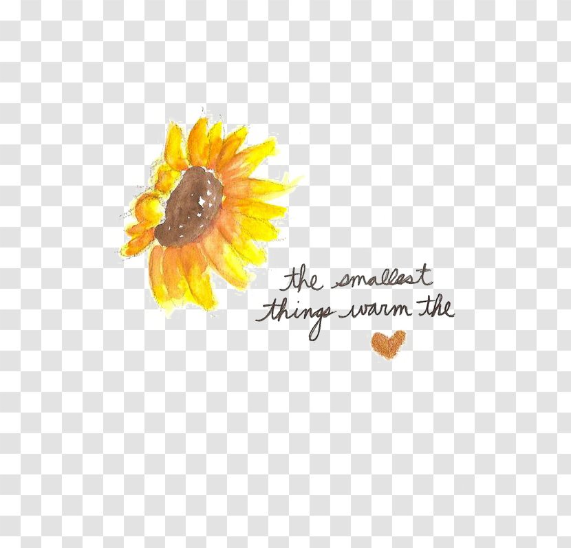 Quotation Saying Artistic Inspiration Life Love - Sunflower Transparent PNG