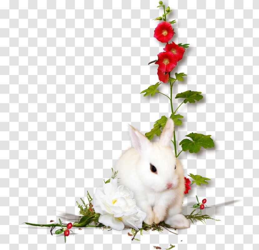 Easter Photography Clip Art - Deviantart Transparent PNG