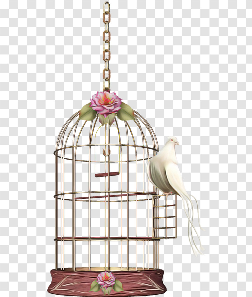 Cage Bird Supply Bird Pet Supply Ceiling Fixture Transparent PNG