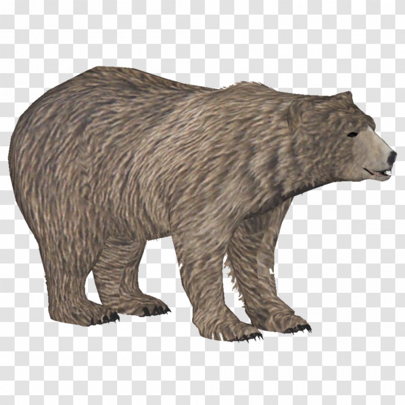 Zoo Tycoon 2 Brown Bear Polar American Black Grizzly - Bears Transparent PNG