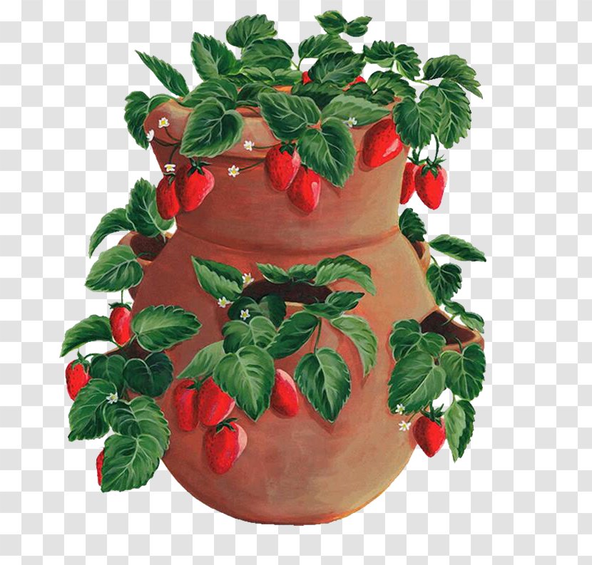 Strawberry Cross-stitch Fruit Aedmaasikas Crock - Porcelain Jar Transparent PNG