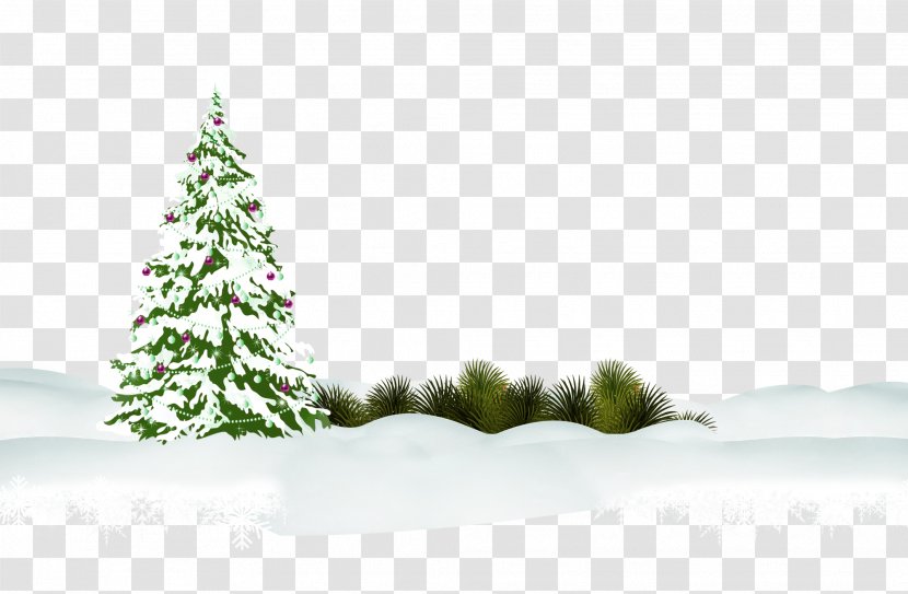 Christmas Tree Wallpaper - Pine - Green Fresh Trees Snow Decorative Patterns Transparent PNG