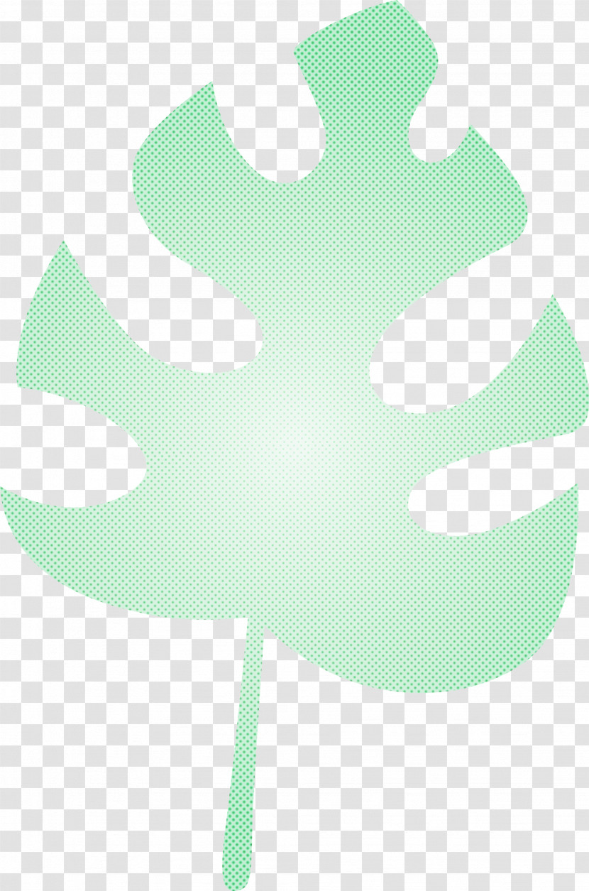 Leaf Transparent PNG