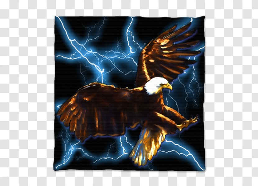 Eagle Bird Of Prey Beak Mythology - Wing Transparent PNG