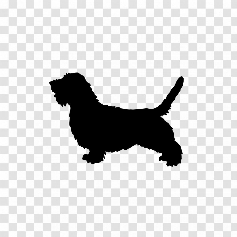 Petit Basset Griffon Vendéen Puppy Cardigan Welsh Corgi Hound Grand - Mammal Transparent PNG