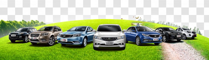 Cars Parked On The Lawn Trees Gravel - Automotive Exterior - Wheel Transparent PNG