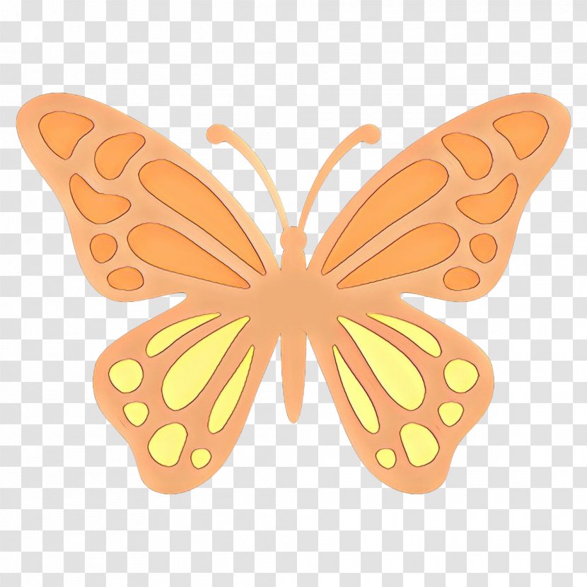 Orange Emoji - Emoticon - Symmetry Pieridae Transparent PNG