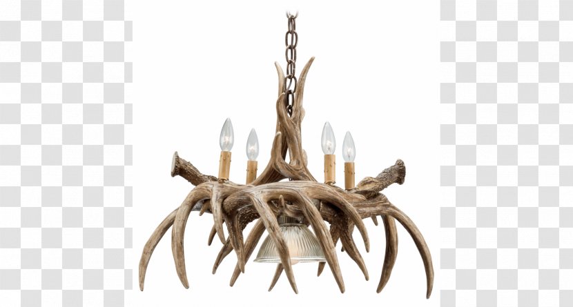 Antler White-tailed Deer Elk Chandelier - Hunting Transparent PNG