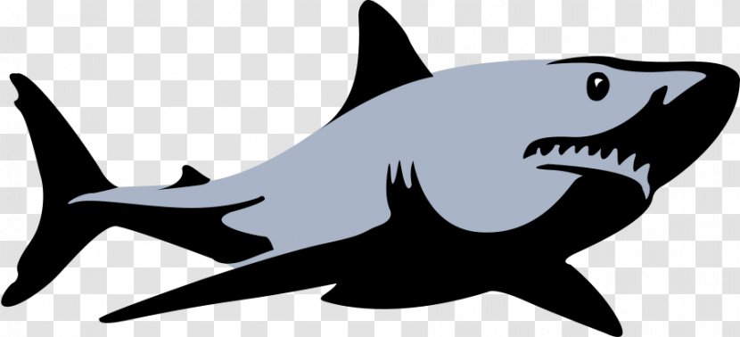 Great White Shark Background - Carcharhiniformes - Animal Figure Hammerhead Transparent PNG