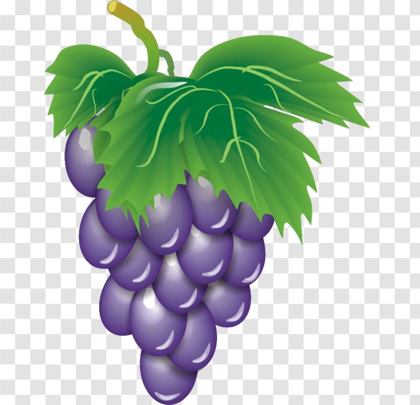 Wine Common Grape Vine Fruit Clip Art - Food - Z Grapes Transparent PNG