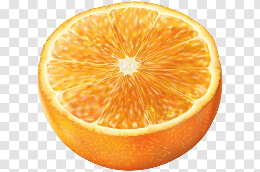 Tangerine Grapefruit Mandarin Orange Clip Art - Ingredient - Fruit Transparent PNG