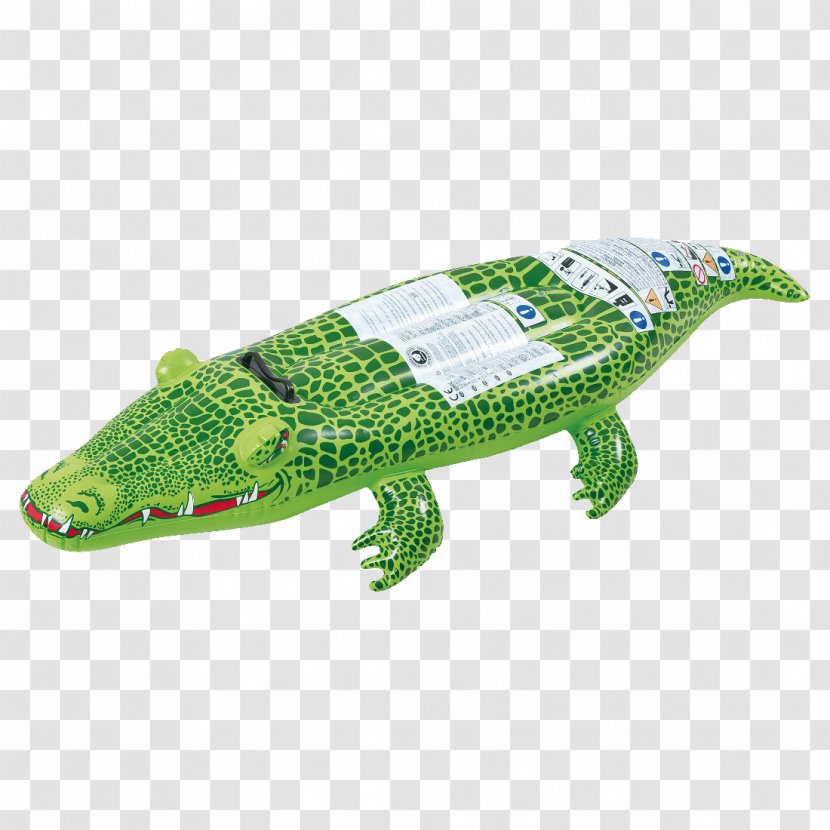 Crocodile Alligator Swimming Pool Inflatable Toy - Amazoncom Transparent PNG