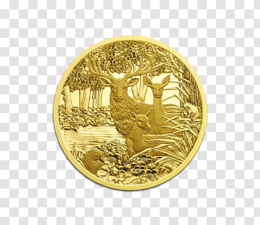 Gold Coin Silver Of The Year Award - Frame Transparent PNG