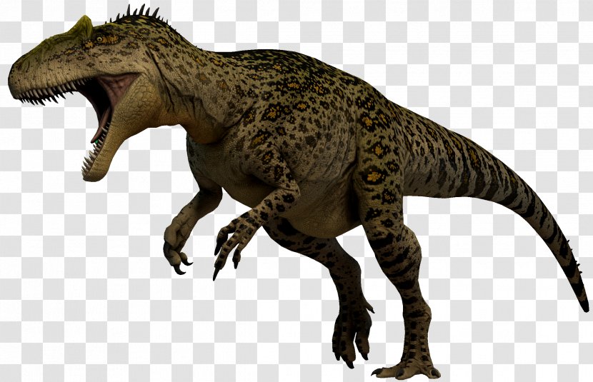 Tyrannosaurus Allosaurus Albertosaurus Reptile Giganotosaurus - Animal - Baryonyx Transparent PNG