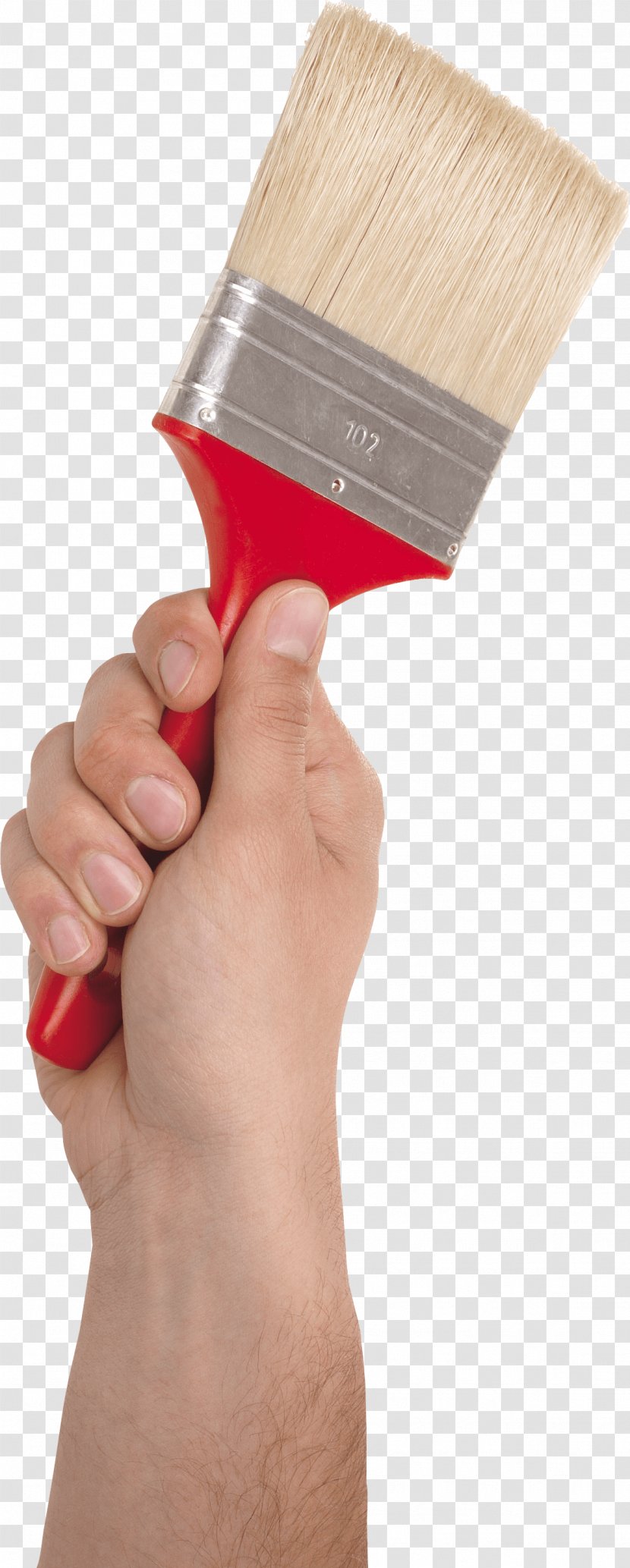 Paint Brush In Hand Image - Paintbrush Transparent PNG