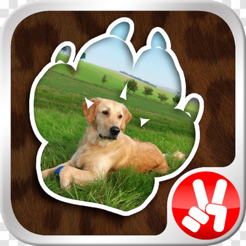 Dog Breed Puppy Horse Retriever Pet - Snout Transparent PNG