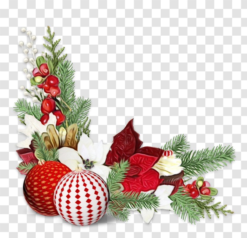 Christmas Decoration - Paint - Conifer Transparent PNG