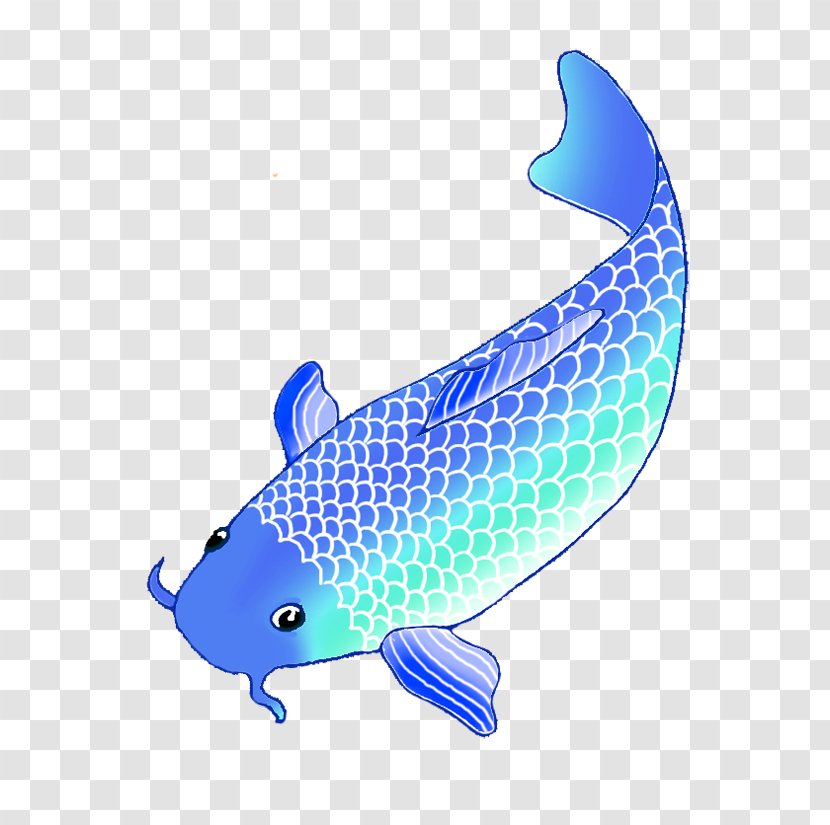 Koi Pond Fish Drawing Clip Art - Color Transparent PNG