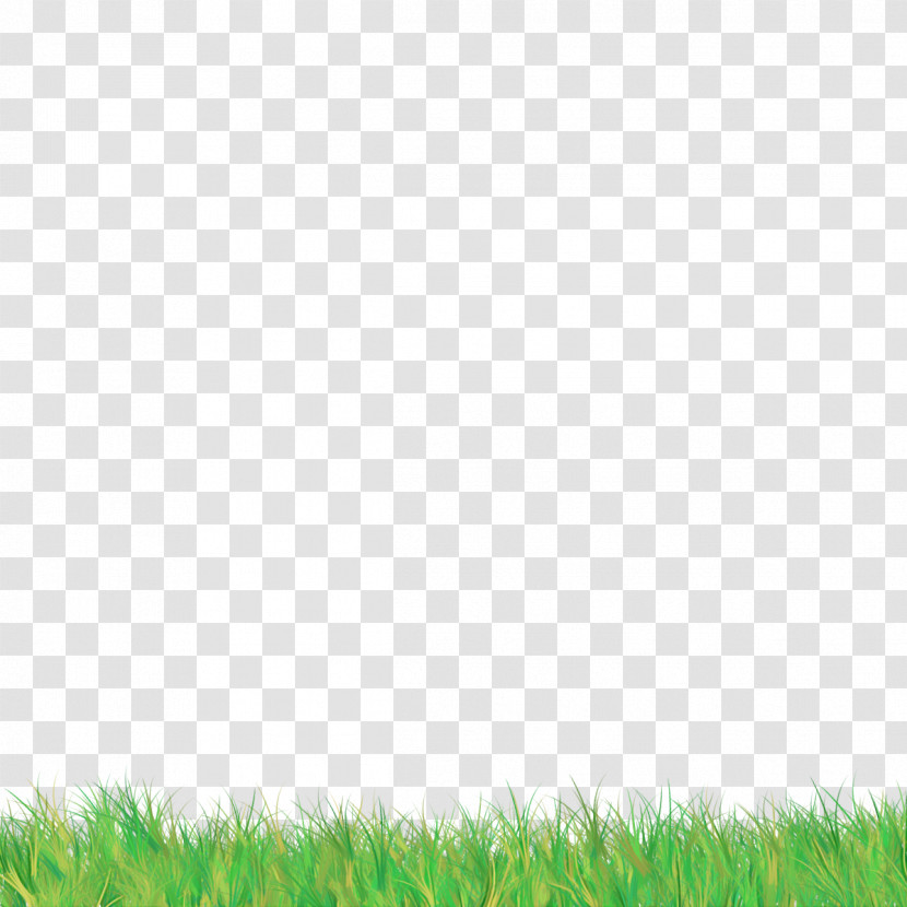 Green Grass Grassland Lawn Natural Environment Transparent PNG