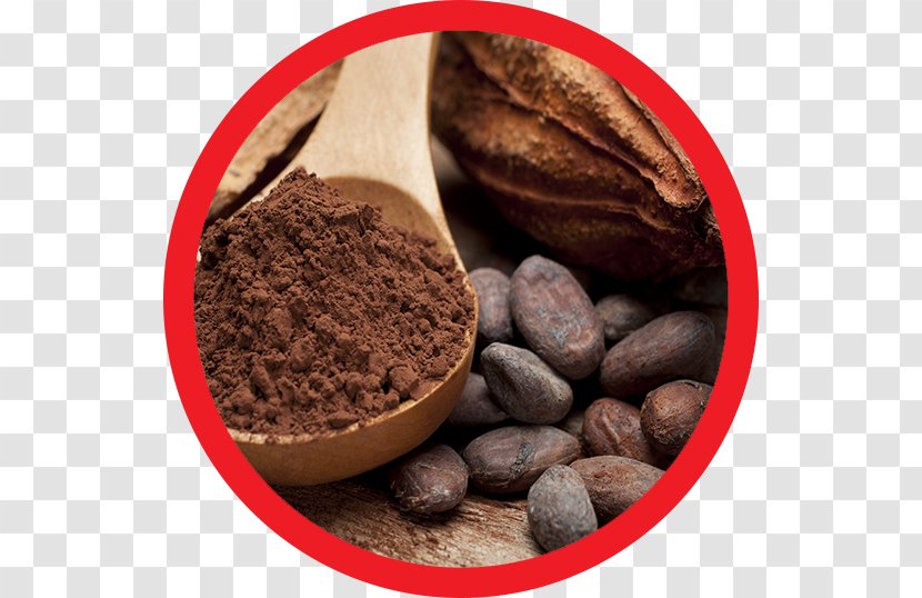 Cocoa Bean Chocolate Bar Solids Theobroma Cacao - Spice - Beans Transparent PNG