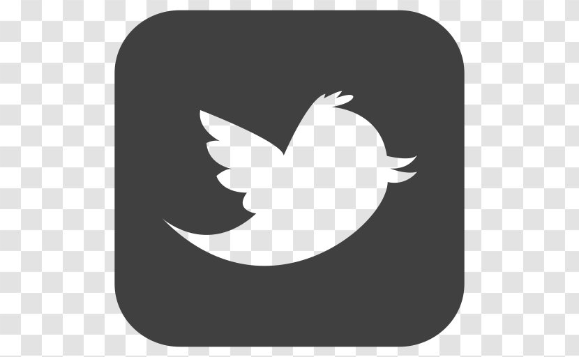 Social Media Marketing LinkedIn Logo - Ducks Geese And Swans Transparent PNG