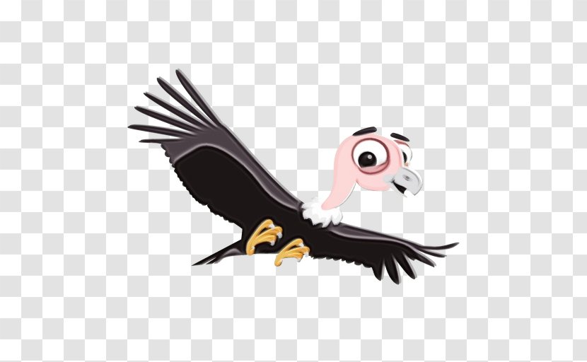 Bird Of Prey Vulture Cartoon Beak - Paint - Condor California Transparent PNG
