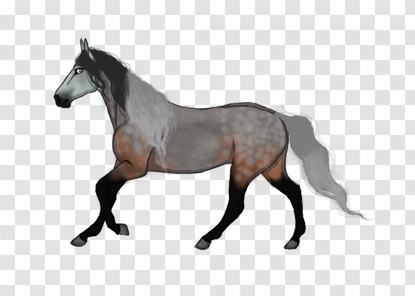 Mustang Stallion Mare Colt Foal - Horse Harnesses Transparent PNG