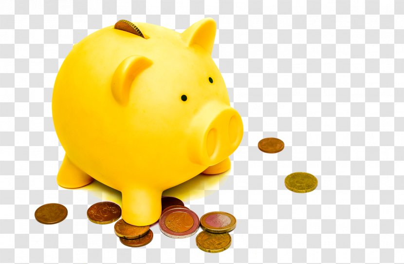 Saving Money Tax Pension Budget - Snout - Management Transparent PNG