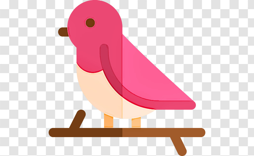 Bird Pink Beak Water Bird Transparent PNG