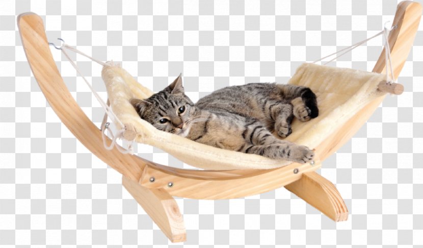 Cat Play And Toys Hammock Felidae Bed - Toy Transparent PNG