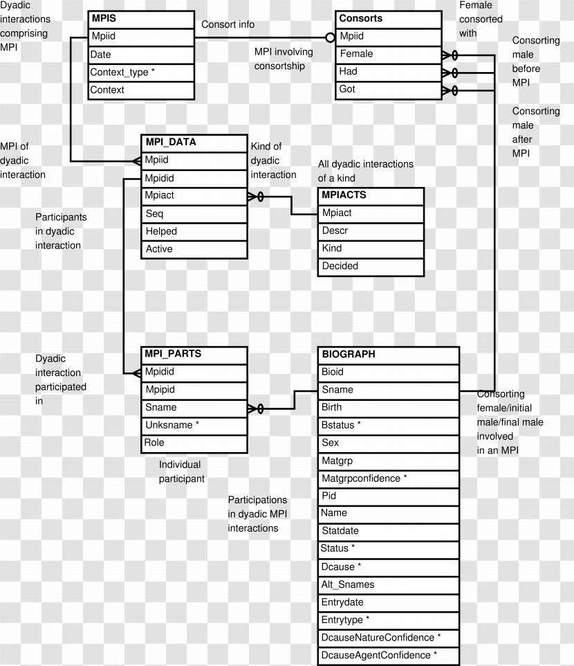 Diagram Entity–relationship Model Table - Social Relation - Entity Relationship Transparent PNG